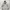 Nautica Hooded With Retractable Grey Jacket Gropcore