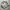 Nautica Hooded With Retractable Grey Jacket Gropcore photo 7