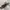 Nautica Hooded With Retractable Grey Jacket Gropcore photo 8