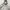 Nautica Hooded With Retractable Grey Jacket Gropcore photo 3