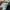 Nike Air Spiridon X Fragment photo 9