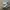 Nike Air Spiridon X Fragment photo 1
