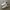 Nike Air Spiridon X Fragment photo 3