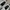 Nike Air Spiridon X Fragment photo 8