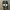 Nike Air Spiridon X Fragment photo 6
