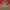 hoodie tevana dark brown thanksinsomnia siz M new fullset  photo 4