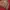 hoodie tevana dark brown thanksinsomnia siz M new fullset  photo 5