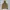 Carhartt Luxury Casual Blazer Pria tan brown photo 4