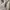 Crewneck Brand Kangol photo 8