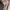 Crewneck Brand Kangol photo 4