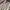 Crewneck Brand Kangol photo 1