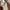 Crewneck Brand Kangol photo 3