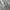 Casual Sweatshirt Pria gray photo 3