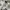 Polo Ralph Lauren Streetwear Y2K Short Pria white pink photo 5