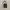 Crossbody Bag MICHAEL KORS