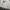 NASTYKICK (NSTK) Long Sleeve Big Art Military Rare Finds ORI photo 2