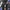 Nylaus Double Waist Pants