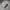 Puma Casual Sweatshirt Pria gray photo 2
