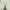 Zara Man White Biker Jeans photo 7