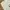 Zara Man White Biker Jeans photo 6