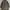 AD hoc long parka m65 field jacket photo 10