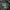 M92 Ecwcs parka jacket big size photo 6