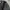 M92 Ecwcs parka jacket big size photo 8