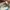 Nike Womans Vaporfly photo 8