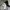 Decathlon Quechua Tas Ransel /Quechua Backpack Escape 150 Sq photo 7