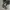 Tommy Hilfiger Shoulder bag TOMMY JOY MINI CROSSOVERShoulder photo 2