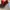 Christian Louboutin Luxury Heels Wanita red photo 4