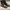 Dr Martens 1460 Delaney Zipper Made in China photo 6