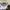 RARE Né-net 'Animal Parade' Knit Short-Sleeved Sweatshirt photo 2