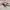 Omighty Y2K Bandeau top Wanita white photo 3
