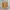 Omighty Y2K Romper Wanita Yellow