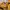 Omighty Y2K Romper Wanita yellow photo 4
