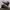 Ransom Boots [ Rare Item ]