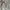 Double Flap Pocket Metal Button 22wrldwide Korean Jacket  photo 6