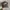 Realtree hat MossyOak Official photo 2