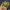 Lost Vape Thelema Quest (Box Mod) photo 1