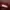 Timberland Burgundy A1398 Made in Bangladesh photo 2