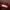Timberland Burgundy A1398 Made In Bangladesh