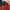 BASELAYER JAKET LOWE ALPINE EXTREME FIT photo 4
