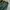 Casual Fleece Pria green photo 7