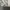 Burberry Jacket Harrington Authentic photo 9