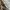 Burberry Jacket Harrington Authentic photo 5