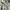 Burberry Jacket Harrington Authentic photo 2
