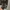 Hush Puppies Casual Sweater Pria tan gray photo 7