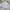 Le Coq Sportif Casual Puffer jacket Pria white gray photo 4
