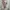 Outer pink photo 1